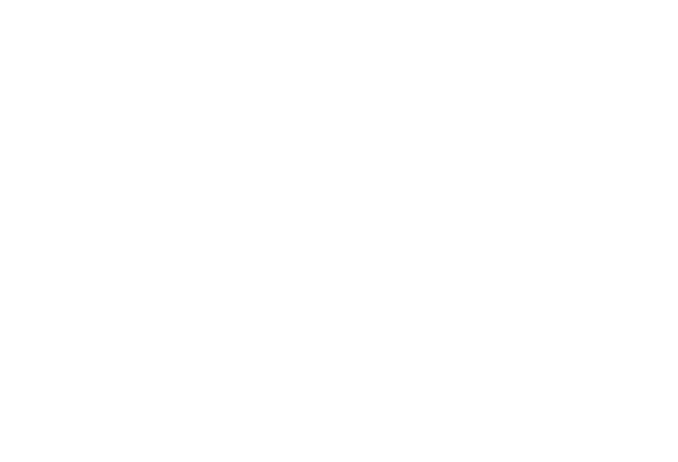 VM Montage